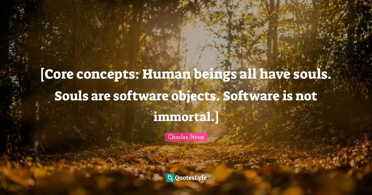 [Core concepts: Human beings all have souls. Souls are software objects. Software is not immortal.]