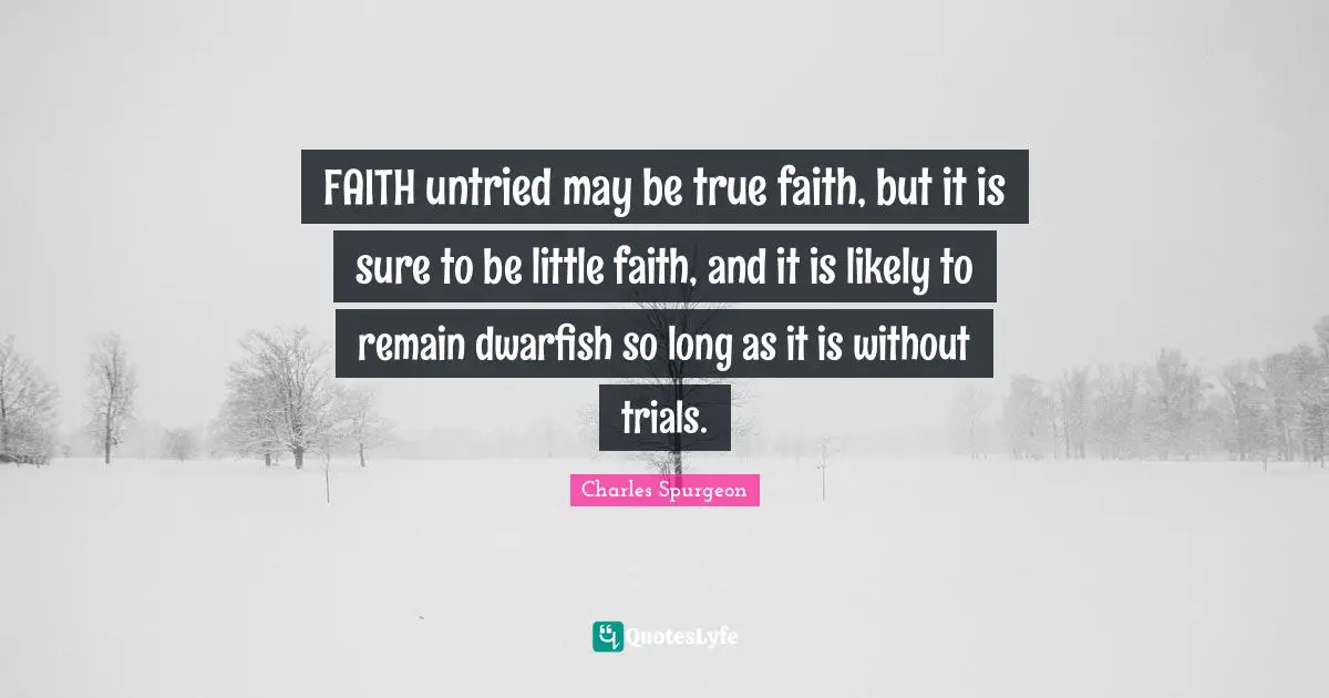 FAITH untried may be true faith, but it is sure to be little faith, and it is likely to remain dwarfish so long as it is without trials.