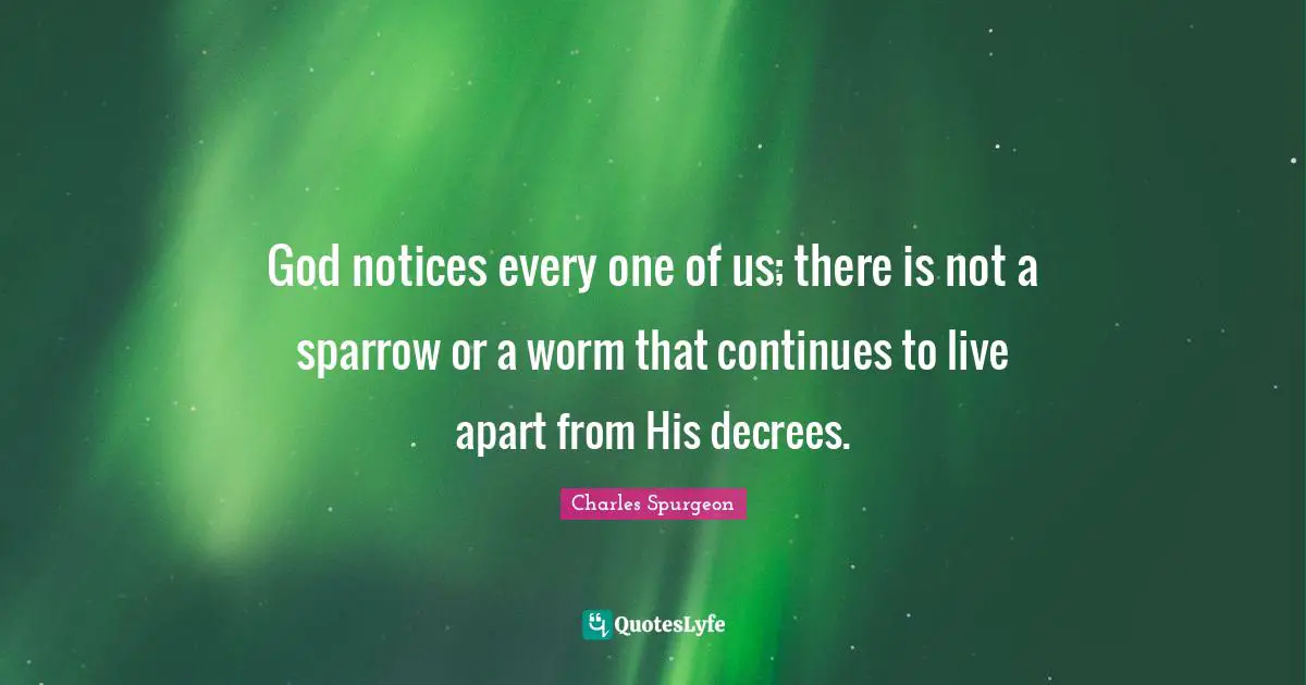 God notices every one of us; there is not a sparrow or a worm that continues to live apart from His decrees.