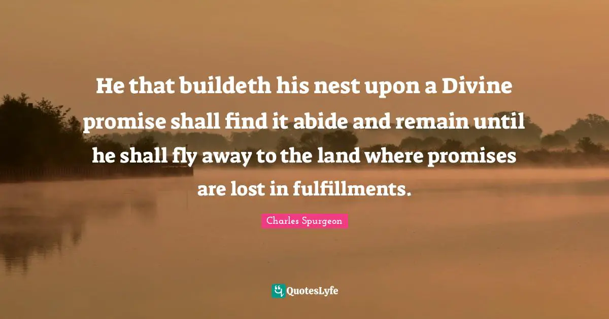Nests Quotes: "He that buildeth his nest upon a Divine promise shall find it abide and remain until he shall fly away to the land where promises are lost in fulfillments."