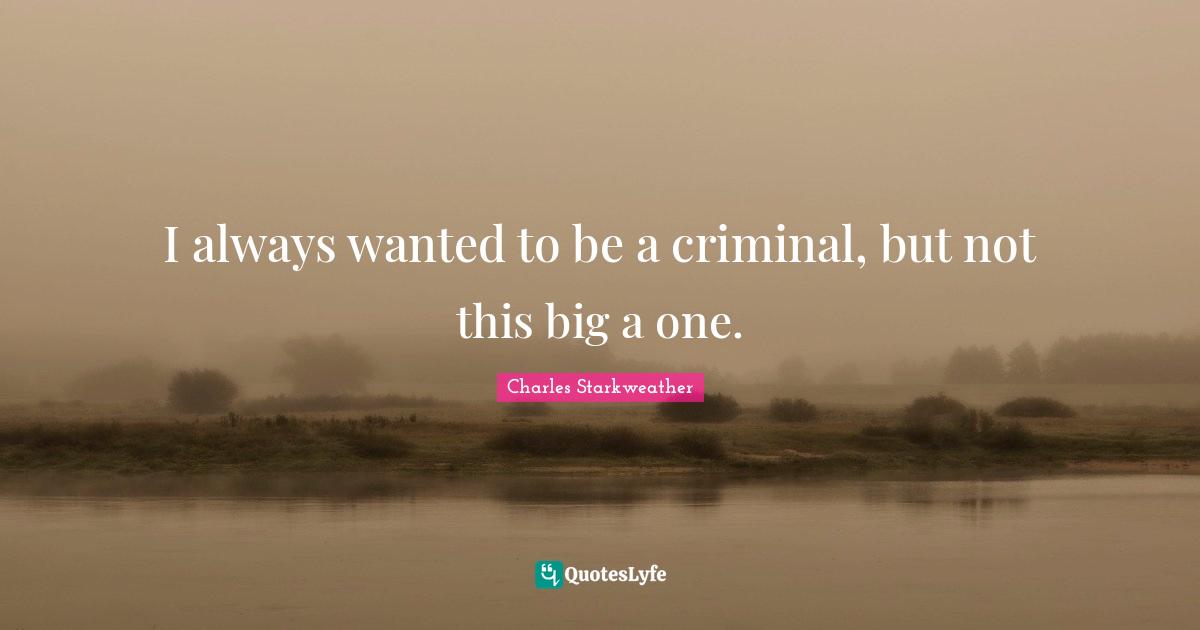 I always wanted to be a criminal, but not this big a one.