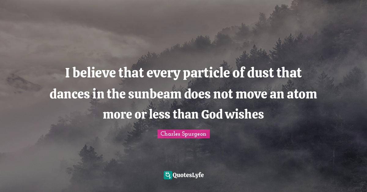 I believe that every particle of dust that dances in the sunbeam does
