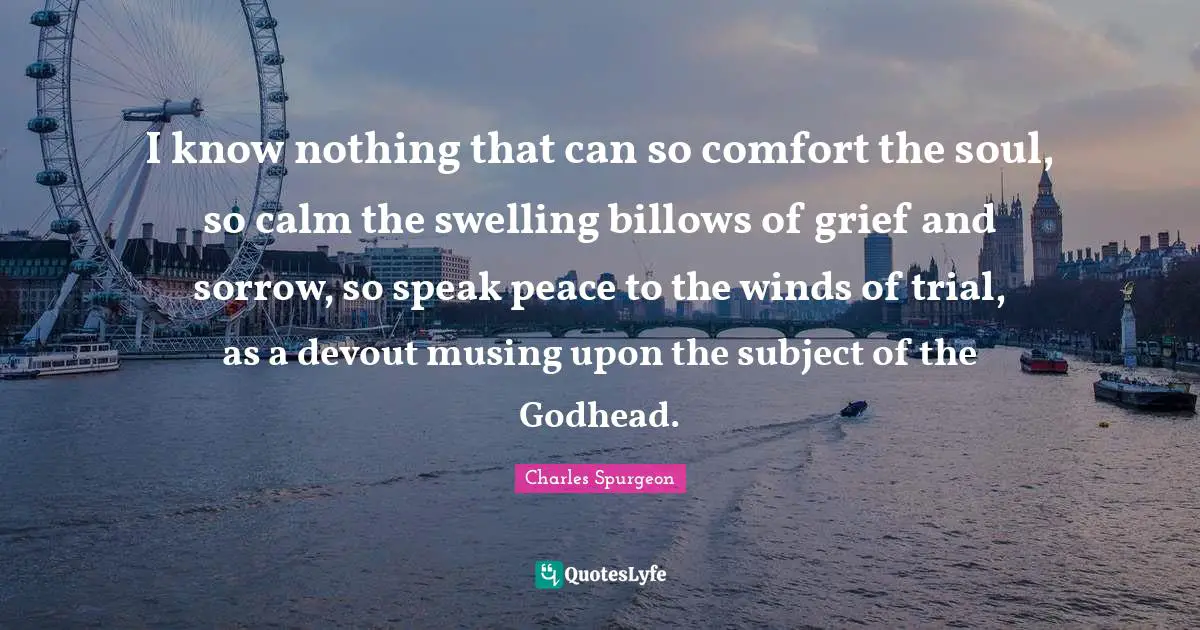 I know nothing that can so comfort the soul, so calm the swelling billows of grief and sorrow, so speak peace to the winds of trial, as a devout musing upon the subject of the Godhead.
