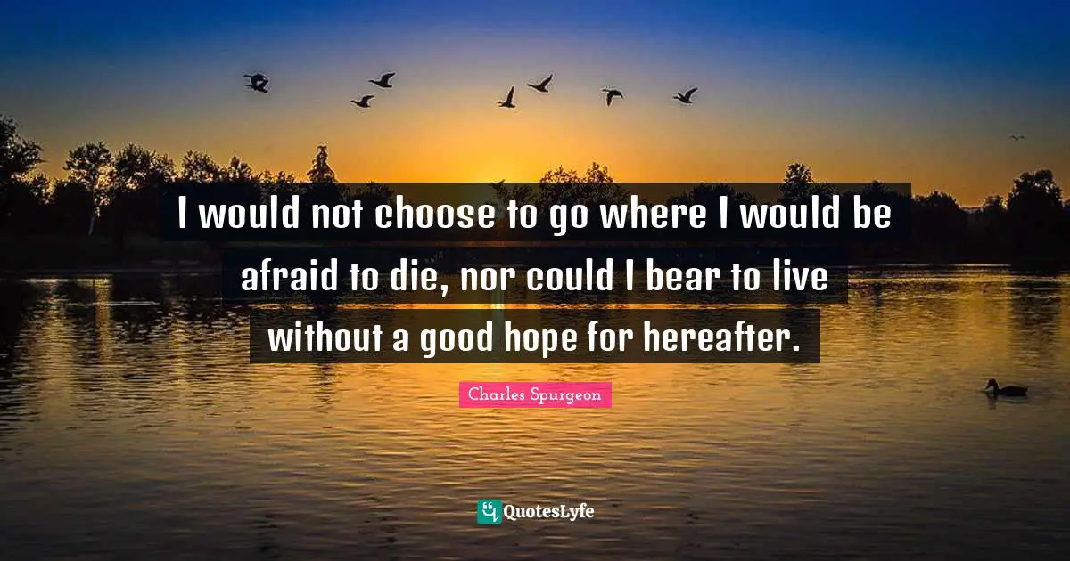 I would not choose to go where I would be afraid to die, nor could I bear to live without a good hope for hereafter.