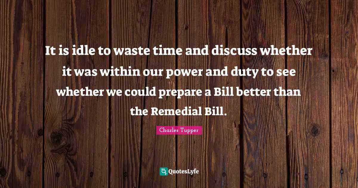 It is idle to waste time and discuss whether it was within our power and duty to see whether we could prepare a Bill better than the Remedial Bill.