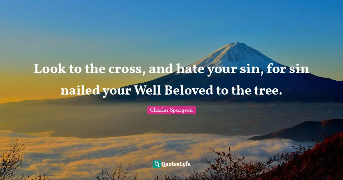 Look to the cross, and hate your sin, for sin nailed your Well Beloved to the tree.