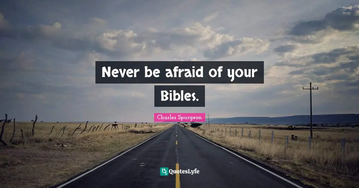 Never be afraid of your Bibles.