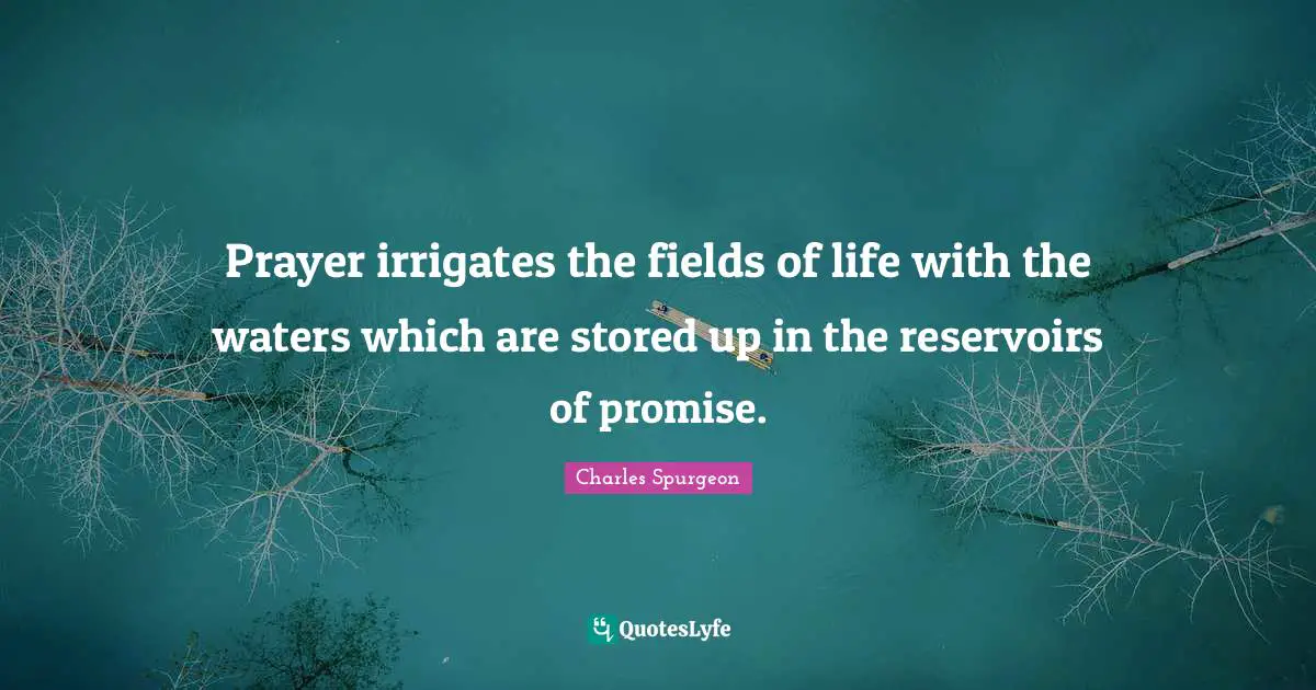 Prayer irrigates the fields of life with the waters which are stored up in the reservoirs of promise.