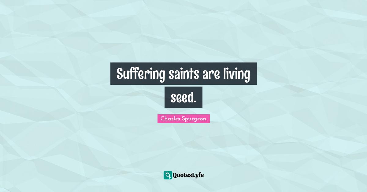 Suffering saints are living seed.