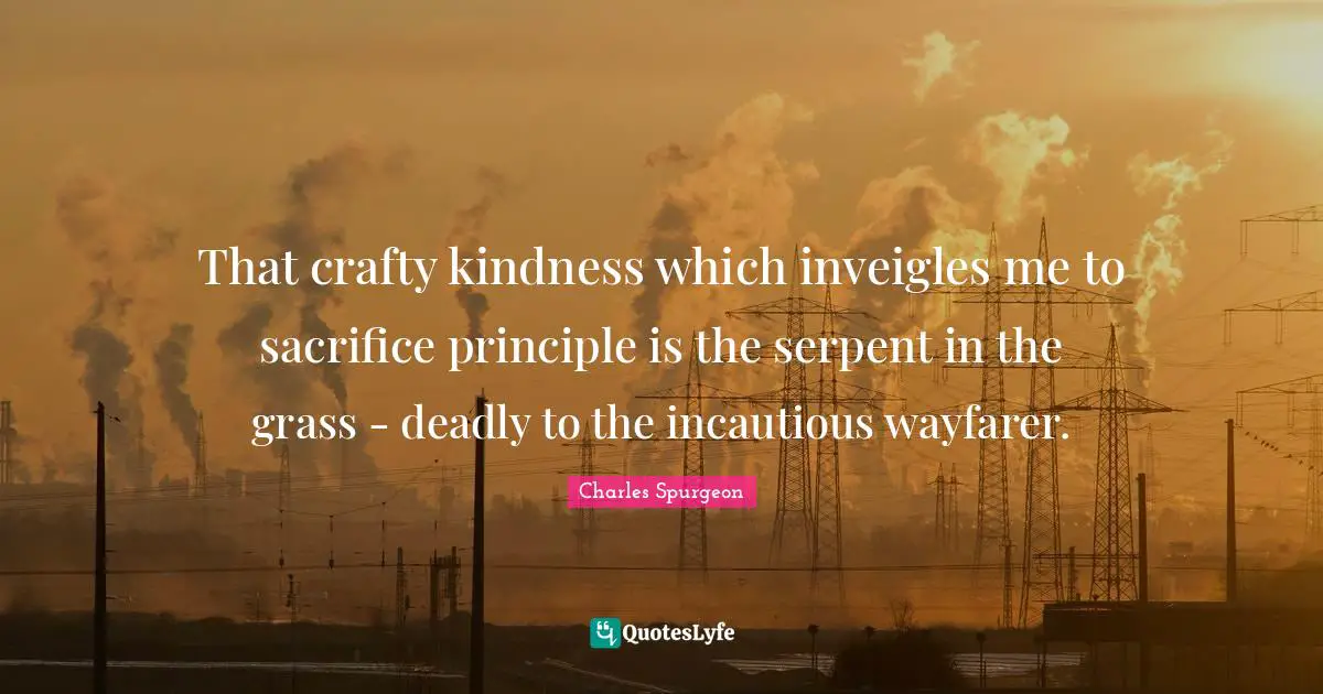 That crafty kindness which inveigles me to sacrifice principle is the serpent in the grass - deadly to the incautious wayfarer.