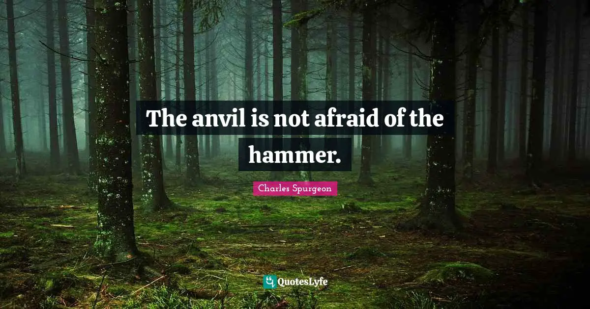 The anvil is not afraid of the hammer.