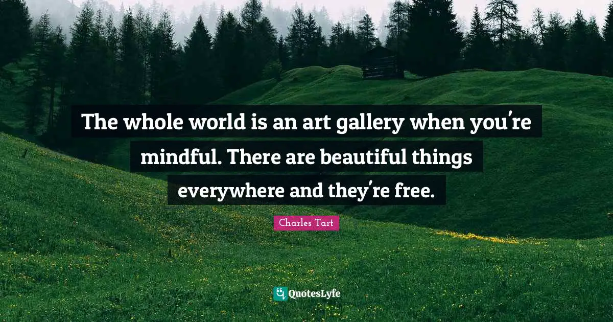 Beautiful Things Quotes: "The whole world is an art gallery when you're mindful. There are beautiful things everywhere and they're free."