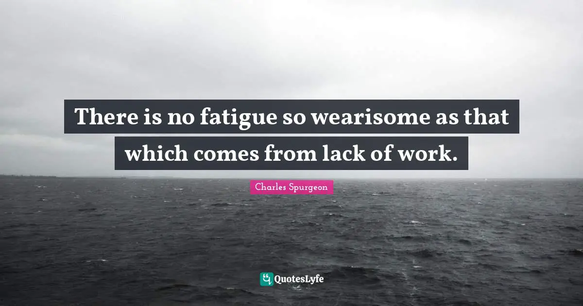 There is no fatigue so wearisome as that which comes from lack of work.