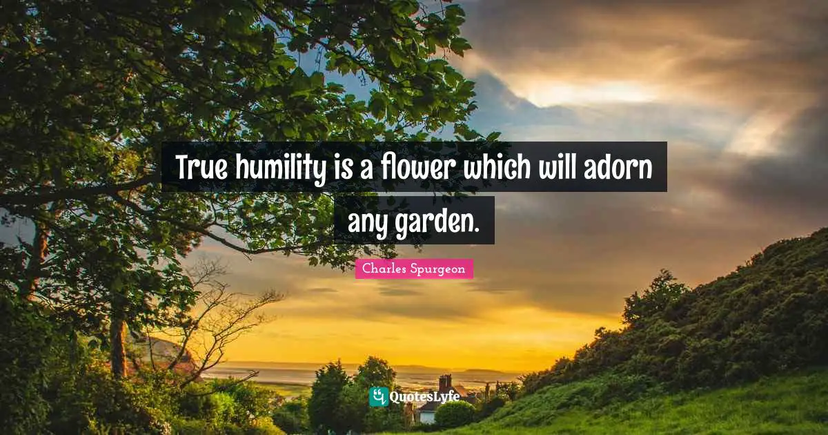 True humility is a flower which will adorn any garden.
