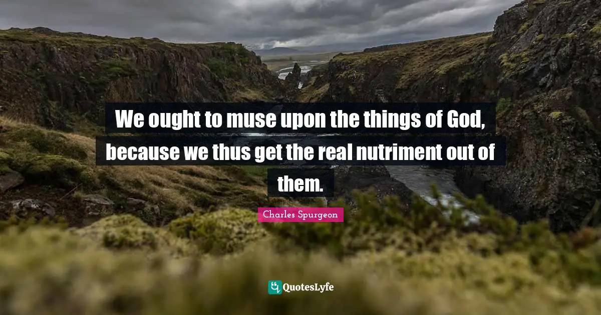 We ought to muse upon the things of God, because we thus get the real nutriment out of them.