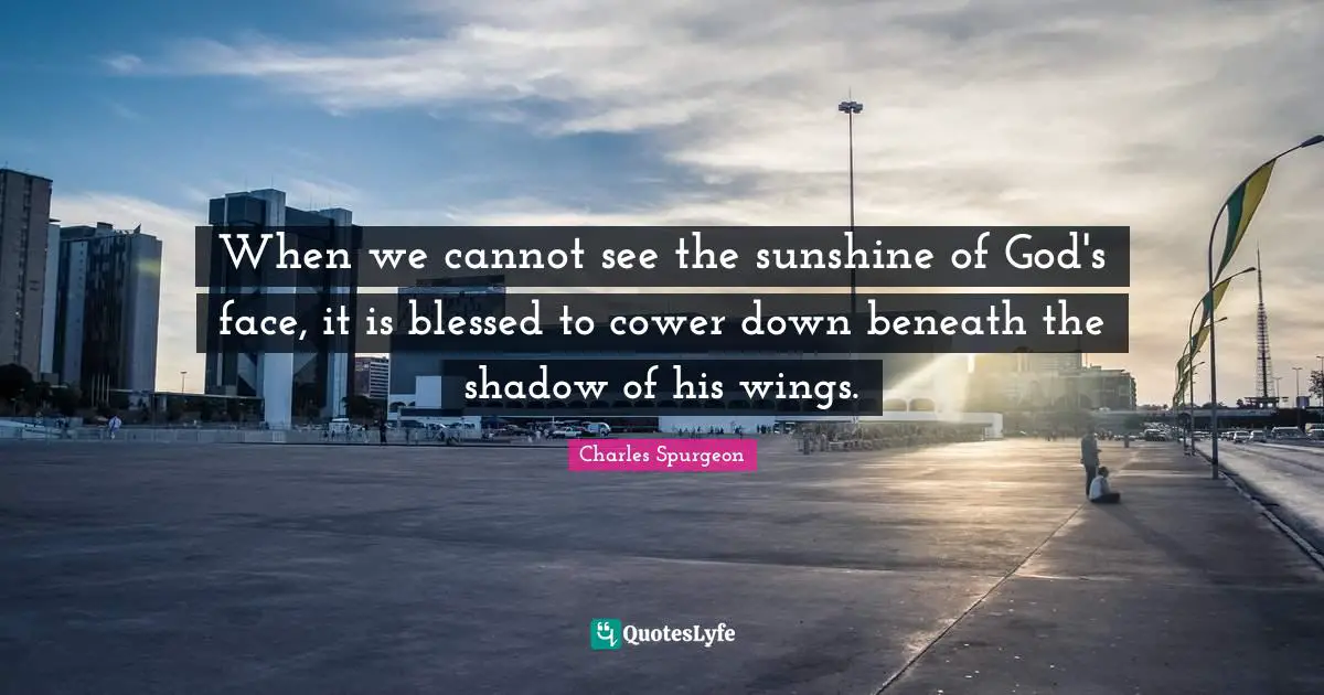 When we cannot see the sunshine of God's face, it is blessed to cower down beneath the shadow of his wings.