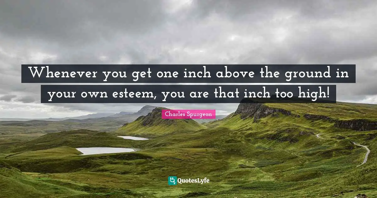 Whenever you get one inch above the ground in your own esteem, you are that inch too high!