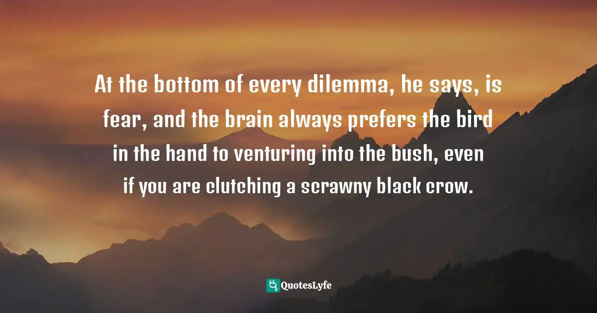 At the bottom of every dilemma, he says, is fear, and the brain always prefers the bird in the hand to venturing into the bush, even if you are clutching a scrawny black crow.