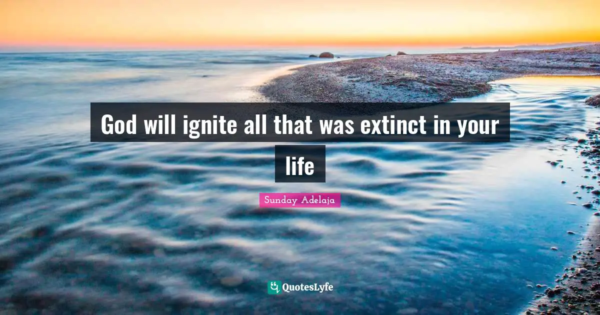 Ignite Quotes: "God will ignite all that was extinct in your life"