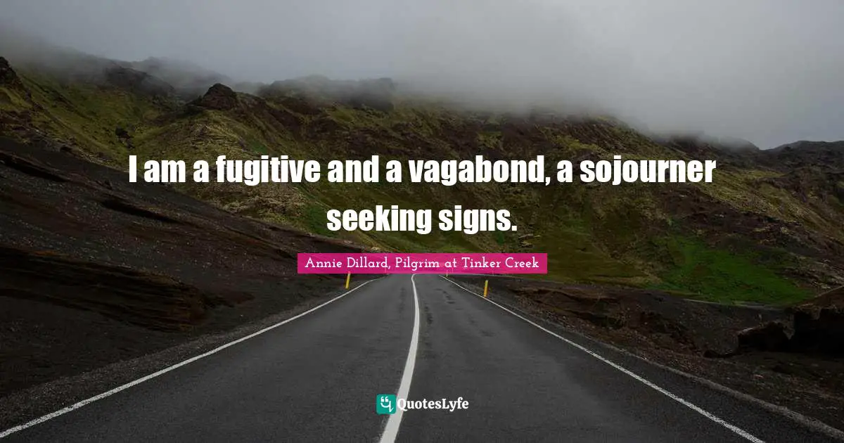 I am a fugitive and a vagabond, a sojourner seeking signs.