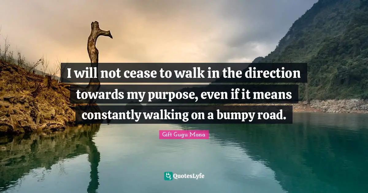 I will not cease to walk in the direction towards my purpose, even if it means constantly walking on a bumpy road.
