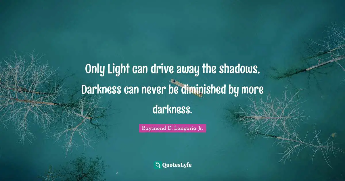 Only Light can drive away the shadows, Darkness can never be diminished by more darkness.