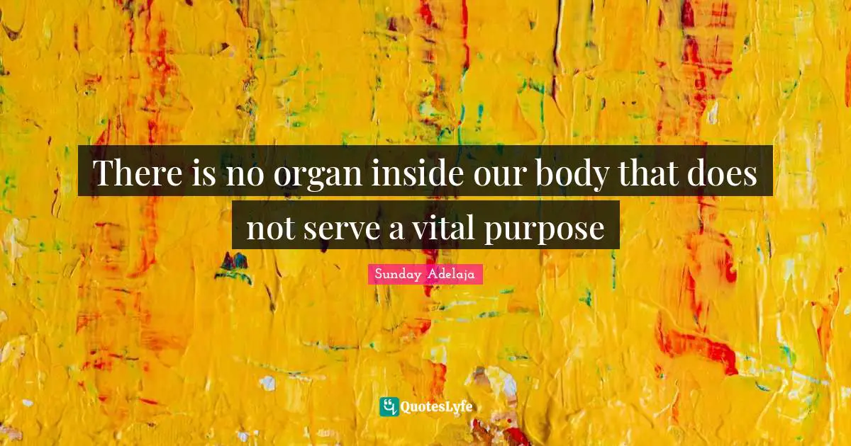 There is no organ inside our body that does not serve a vital purpose