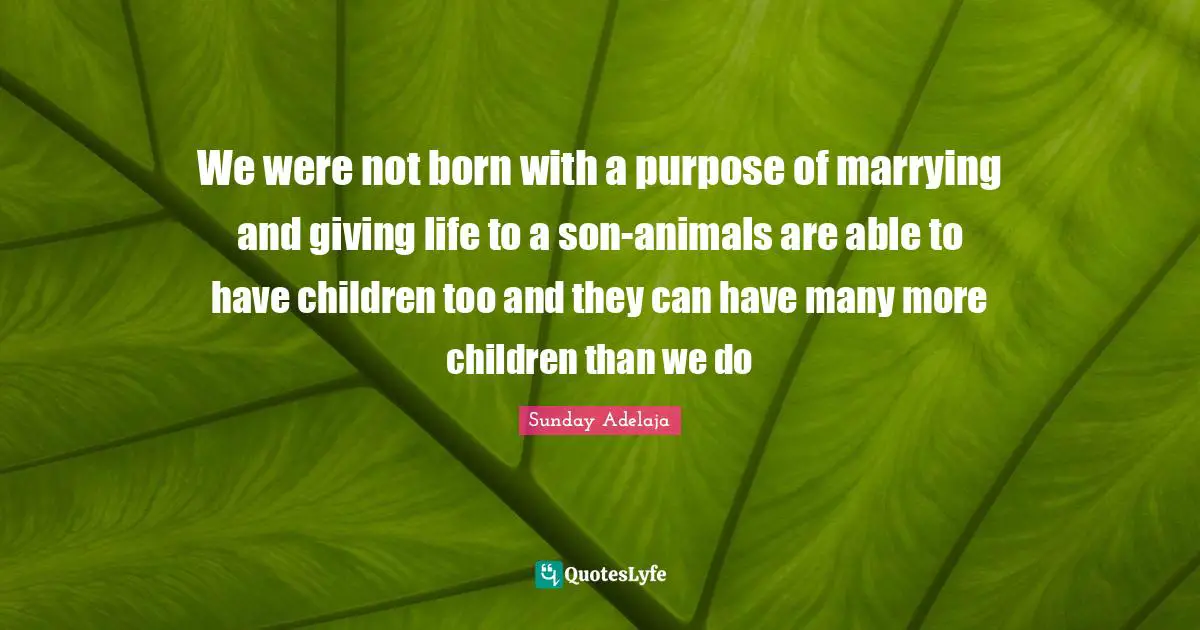 We were not born with a purpose of marrying and giving life to a son-animals are able to have children too and they can have many more children than we do