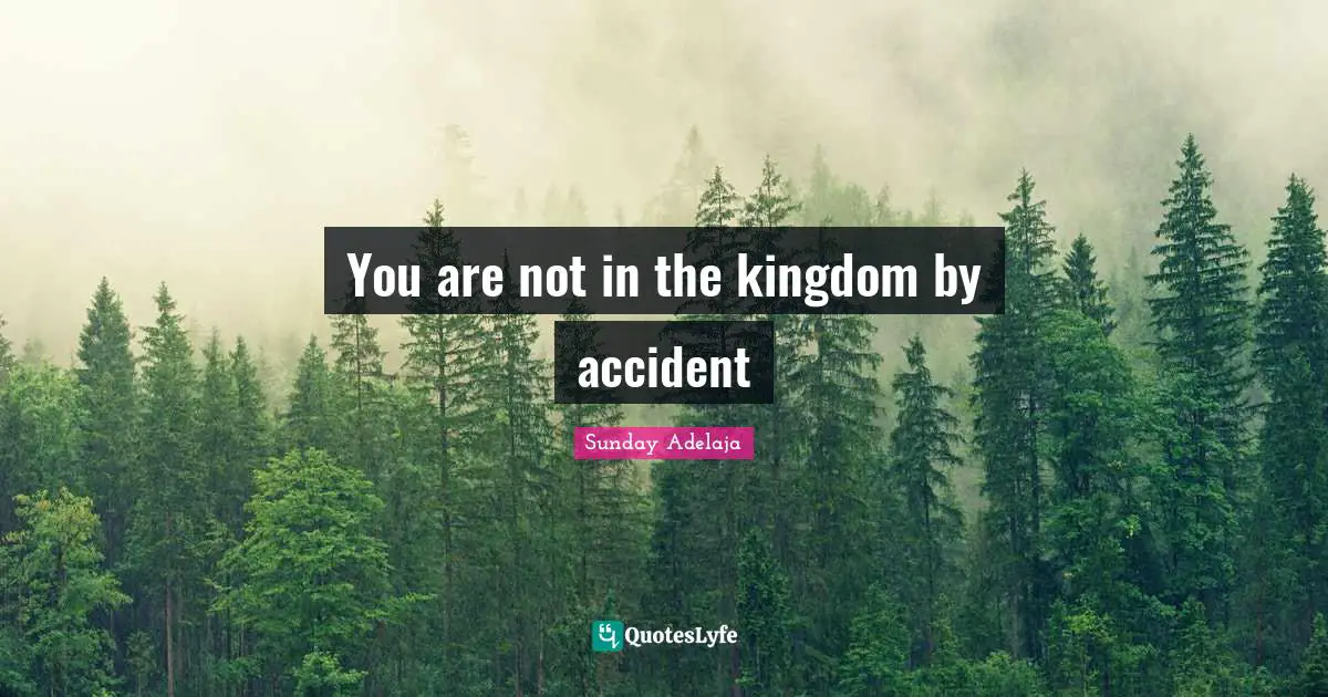 You are not in the kingdom by accident
