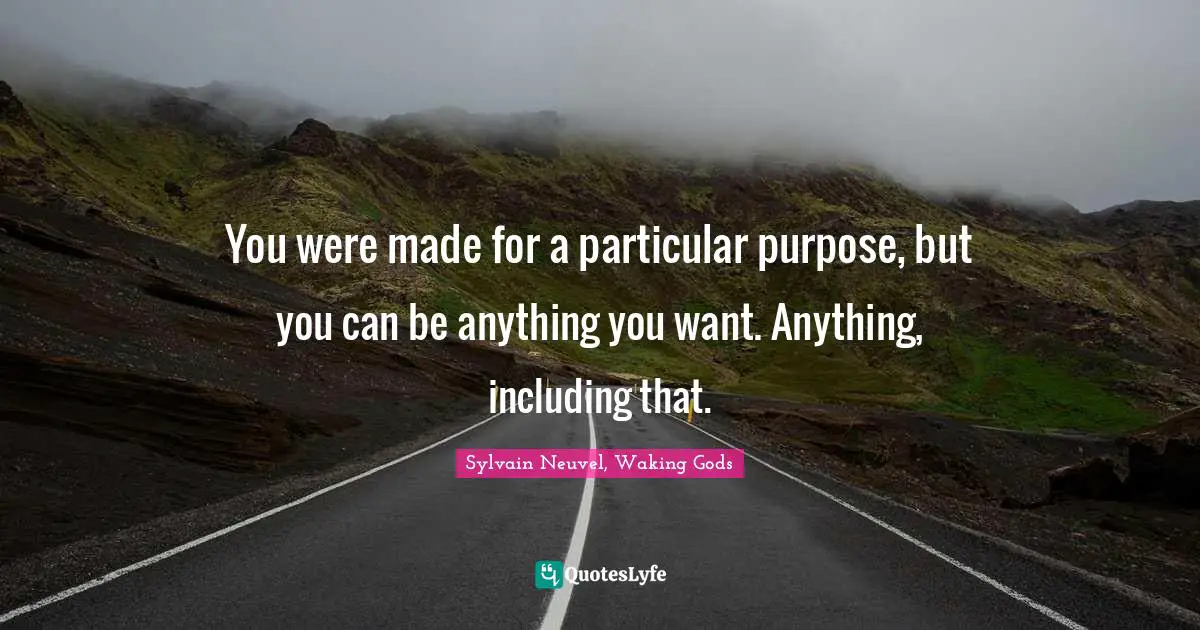 You were made for a particular purpose, but you can be anything you want. Anything, including that.