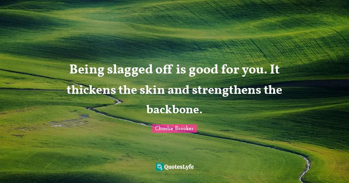 Being slagged off is good for you. It thickens the skin and strengthens the backbone.