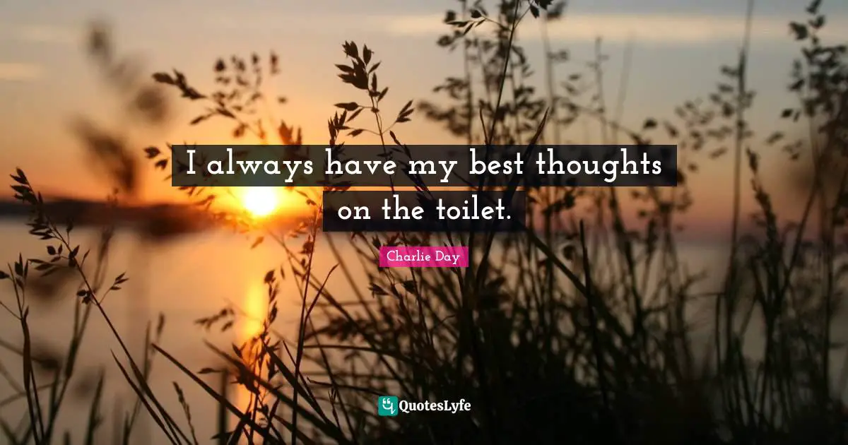 I always have my best thoughts on the toilet.
