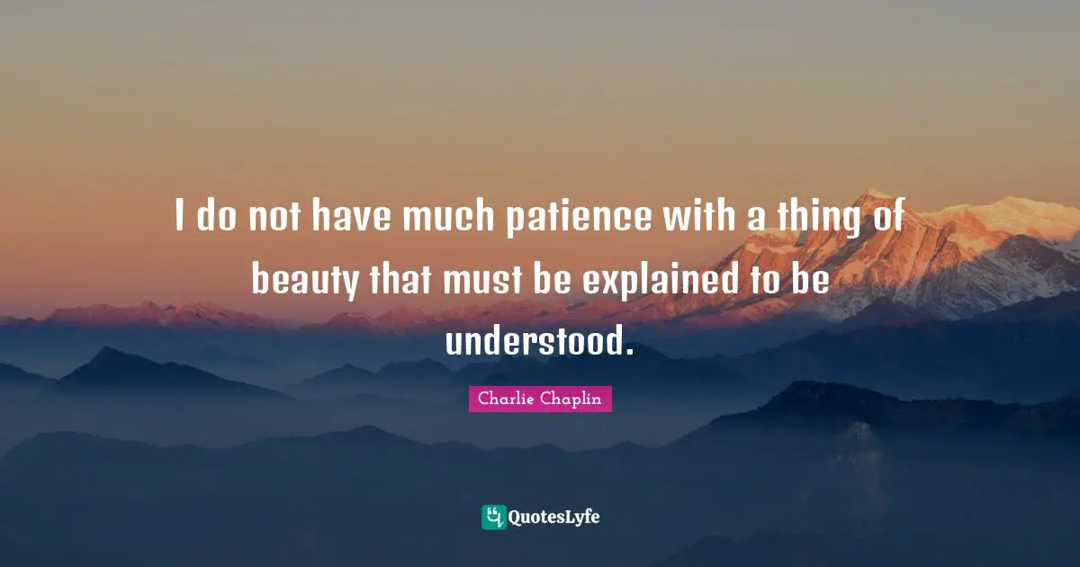 I do not have much patience with a thing of beauty that must be explained to be understood.