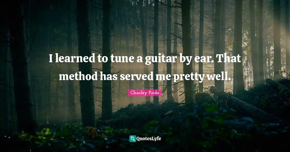 I learned to tune a guitar by ear. That method has served me pretty well.