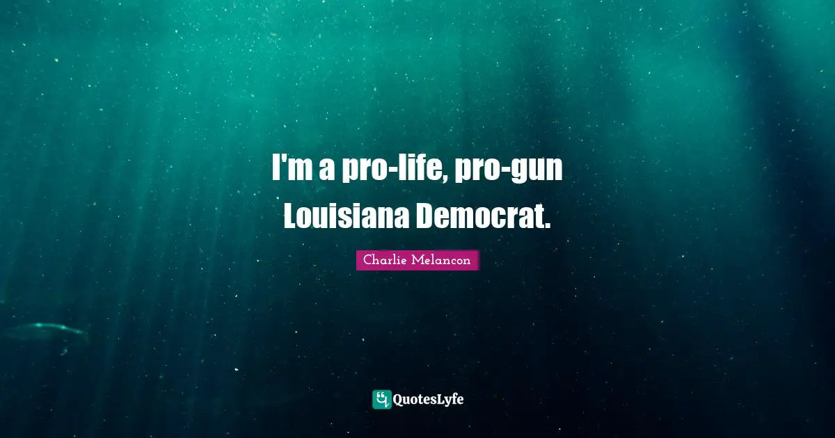 I'm a pro-life, pro-gun Louisiana Democrat.