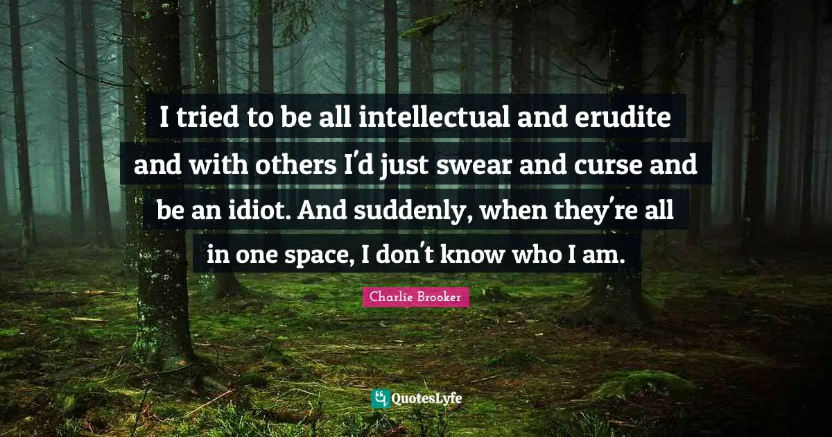 Charlie Brooker Quotes: "I tried to be all intellectual and erudite and with others I'd just swear and curse and be an idiot. And suddenly, when they're all in one space, I don't know who I am."