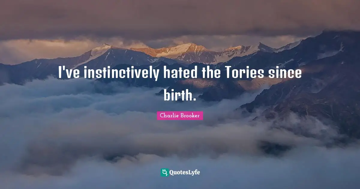 I've instinctively hated the Tories since birth.