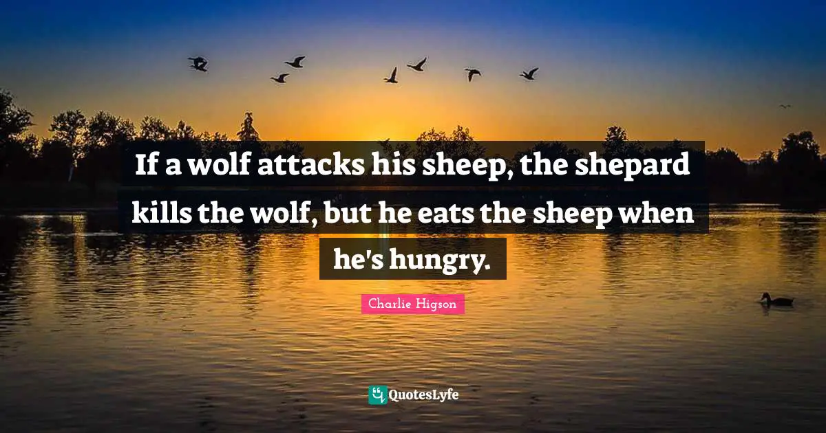 If a wolf attacks his sheep, the shepard kills the wolf, but he eats the sheep when he's hungry.