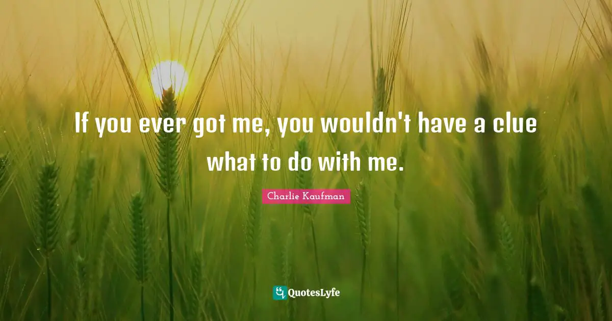 If you ever got me, you wouldn't have a clue what to do with me.