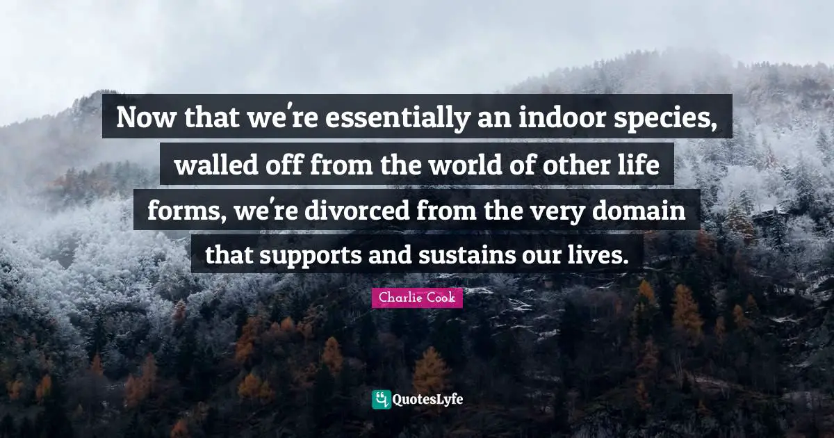Now that we're essentially an indoor species, walled off from the world of other life forms, we're divorced from the very domain that supports and sustains our lives.