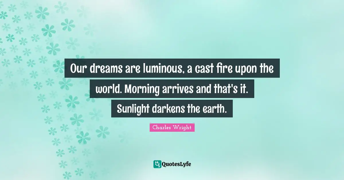 Our dreams are luminous, a cast fire upon the world. Morning arrives and that's it. Sunlight darkens the earth.