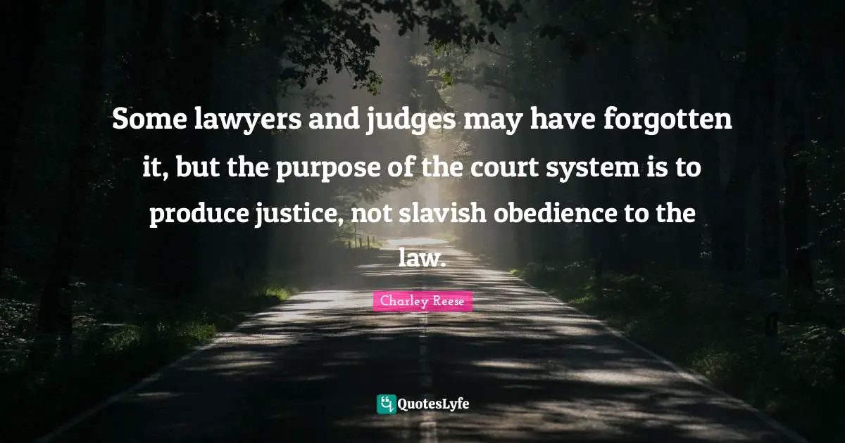 Some lawyers and judges may have forgotten it, but the purpose of the court system is to produce justice, not slavish obedience to the law.