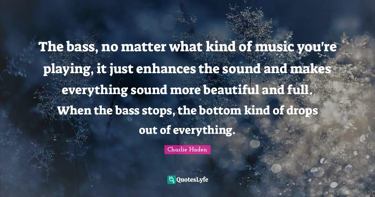 Guitar Quotes: "The bass, no matter what kind of music you're playing, it just enhances the sound and makes everything sound more beautiful and full. When the bass stops, the bottom kind of drops out of everything."