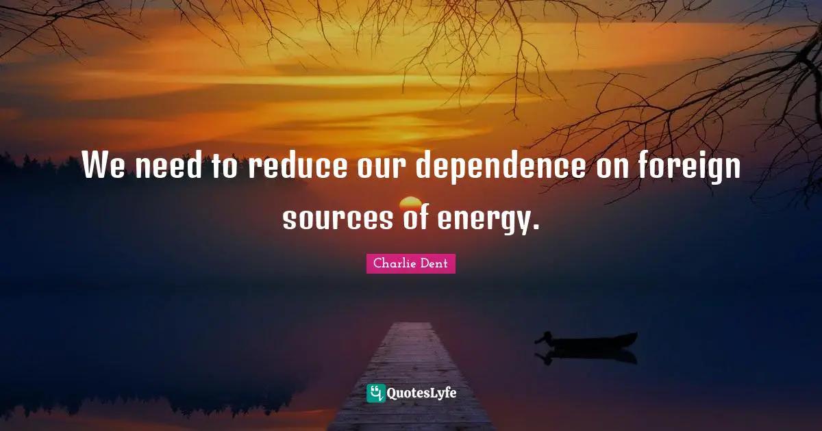 We need to reduce our dependence on foreign sources of energy.