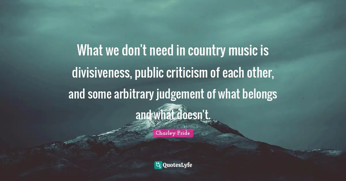 What we don't need in country music is divisiveness, public criticism of each other, and some arbitrary judgement of what belongs and what doesn't.