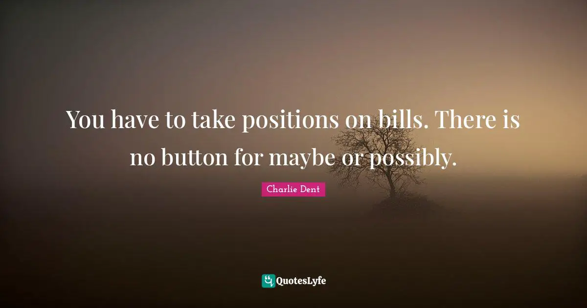 You have to take positions on bills. There is no button for maybe or possibly.