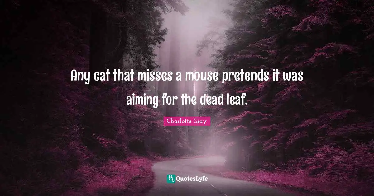 Any cat that misses a mouse pretends it was aiming for the dead leaf.