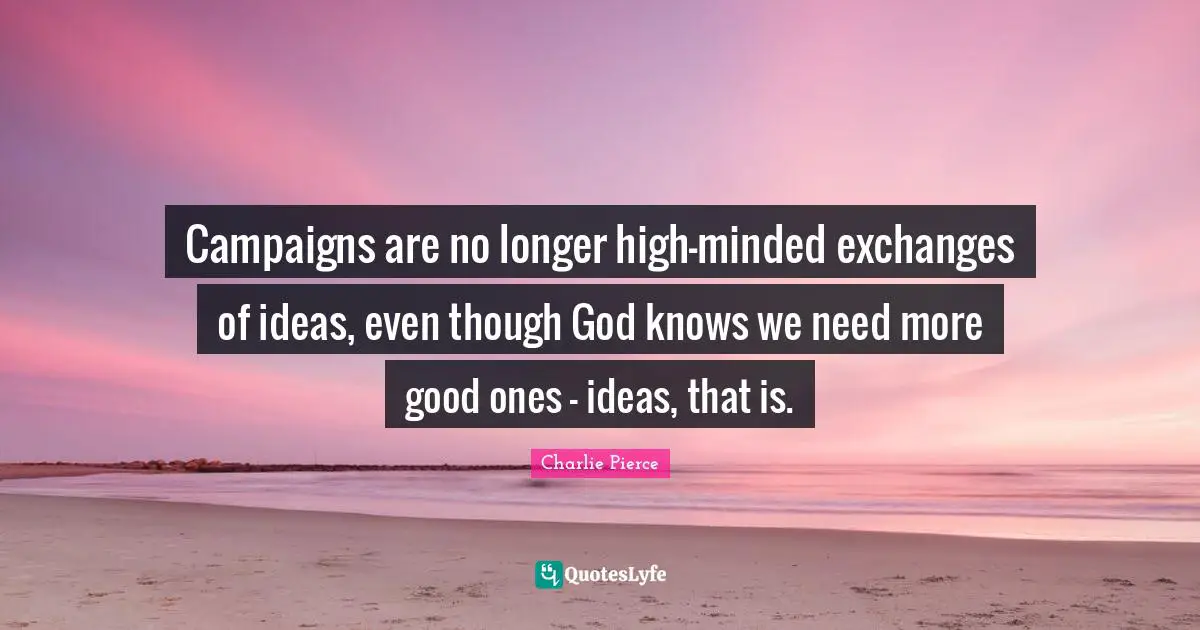 Campaigns are no longer high-minded exchanges of ideas, even though God knows we need more good ones - ideas, that is.