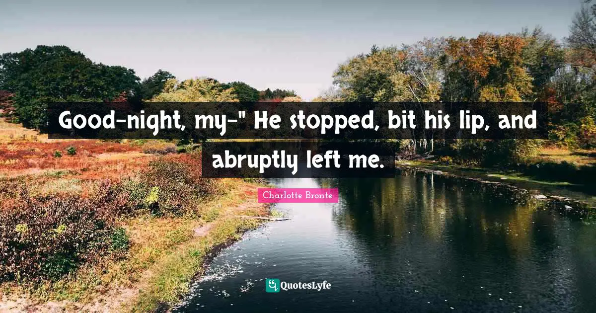 Charlotte Bronte Quotes: "Good-night, my-" He stopped, bit his lip, and abruptly left me."