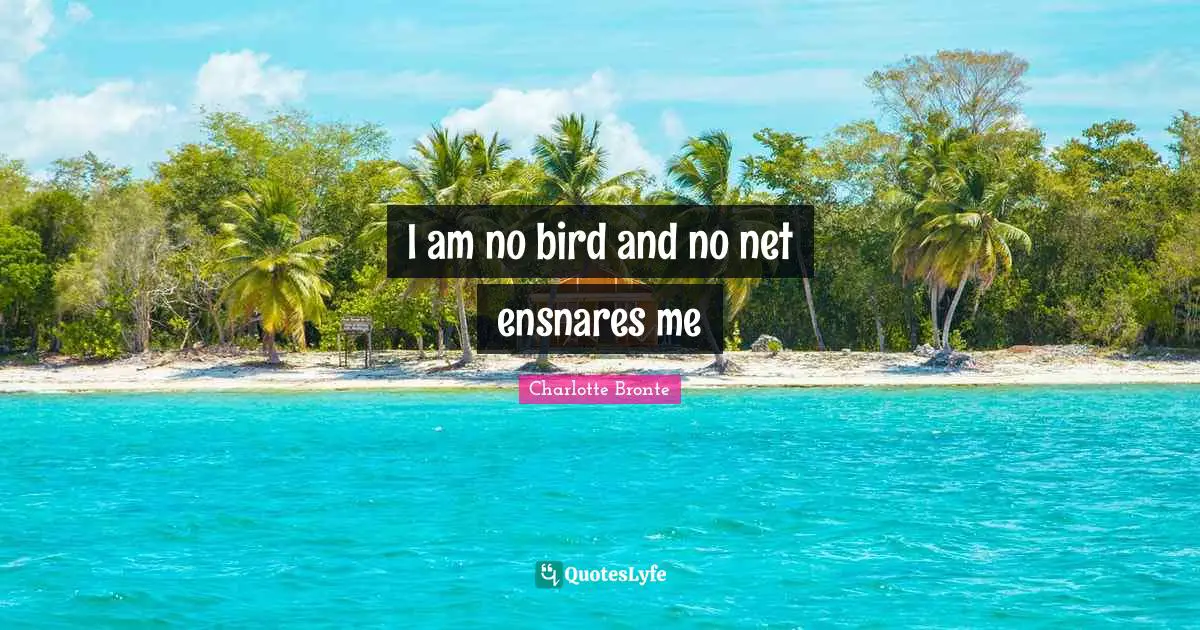 Charlotte Bronte Quotes: "I am no bird and no net ensnares me"